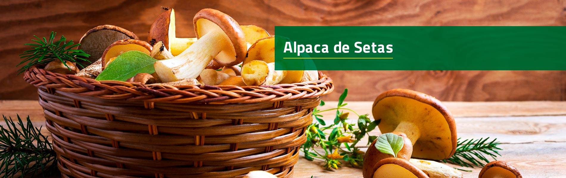 Setas